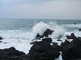 EzOC