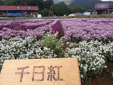 Ђ邪̍igj