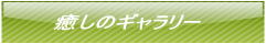̃M[